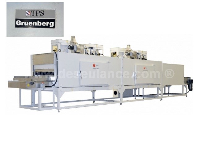 195/25052 - FORNO DE CURA POR PROCESSO CONTÍNUO GRUENBERG, 