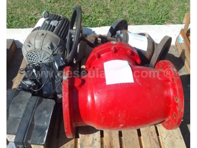 05/25055 - 01 VÁLVULA RETENÇÃO 10" MP; 01 MOTOR BÚFALO 7,5 CV E OUTROS