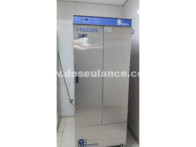 171/25156 - FREEZER VISOMES PLUS. (REF. 11)
